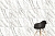 Керамогранит Vitra  MarbleSet Венато Светло-серый Матовый 7Рек 60х60 - 7 изображение