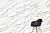 Керамогранит Vitra  MarbleSet Венато Светло-серый Матовый 7Рек 60х120 - 8 изображение