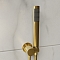 Душевой комплект RGW Shower Panels SP-55-G 51140855-06 золото - 5 изображение