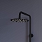 Душевая стойка RGW Shower Panels 59140124-04 черный - 4 изображение